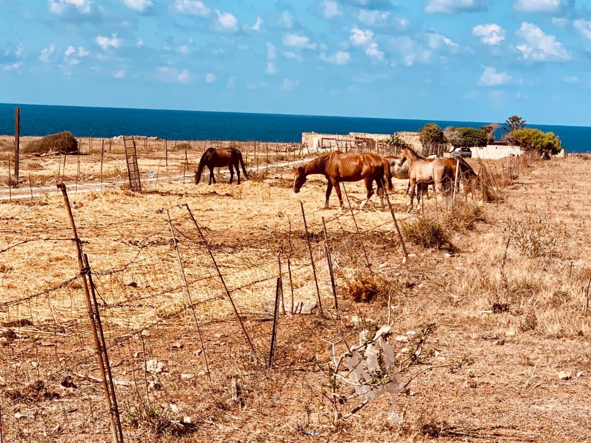 Appartamento Il Pomodoro San Vito Lo Capo Zewnętrze zdjęcie