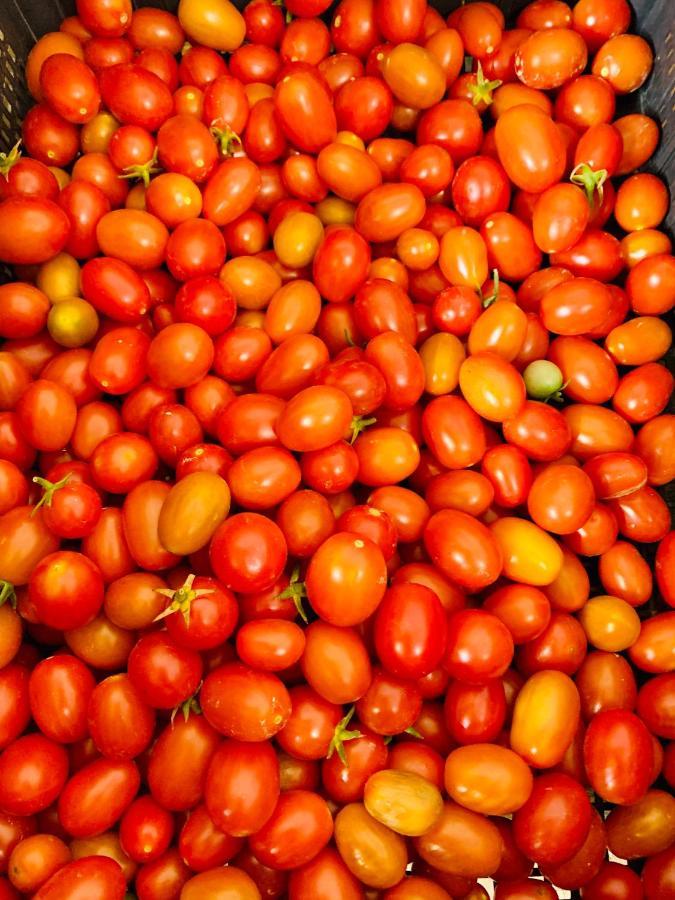 Appartamento Il Pomodoro San Vito Lo Capo Zewnętrze zdjęcie